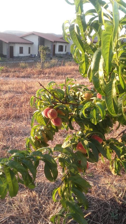 Agriturismo Gennemara B&B Perdaxius Экстерьер фото
